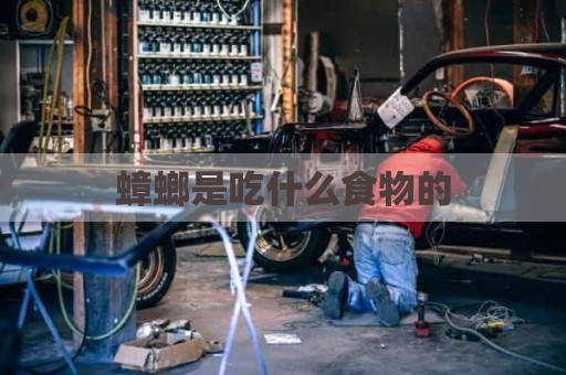 蟑螂是吃什么食物的