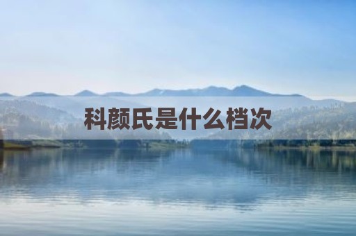 科颜氏是什么档次