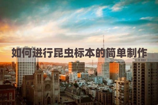 如何进行昆虫标本的简单制作