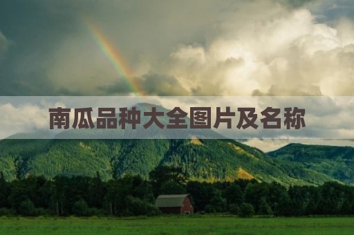 南瓜品种大全图片及名称