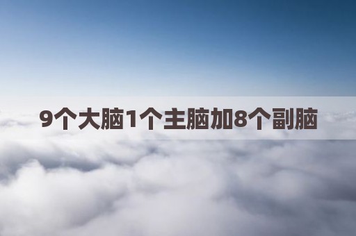 9个大脑1个主脑加8个副脑