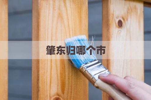 肇东归哪个市