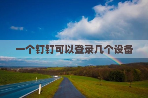 一个钉钉可以登录几个设备