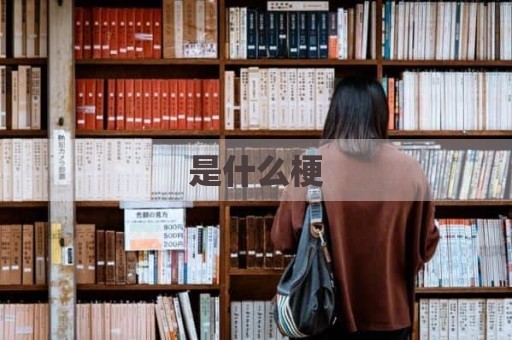 是什么梗