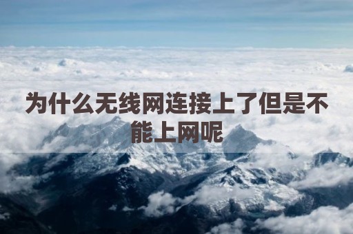 为什么无线网连接上了但是不能上网呢