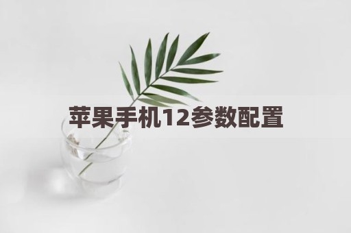 苹果手机12参数配置