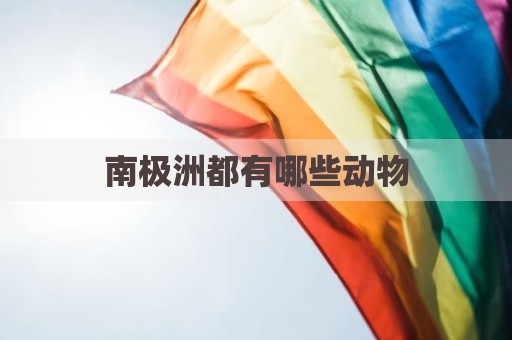 南极洲都有哪些动物