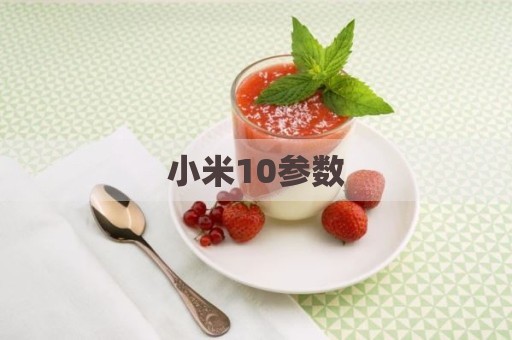 小米10参数
