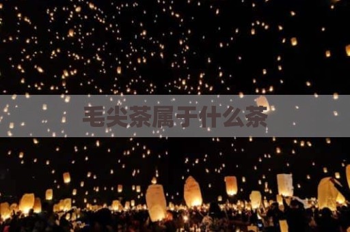 毛尖茶属于什么茶