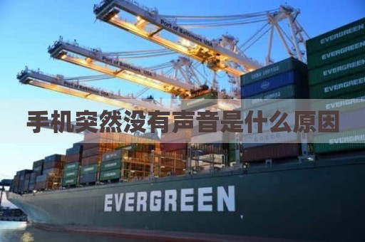 手机突然没有声音是什么原因