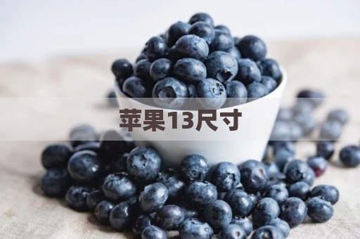 苹果13尺寸