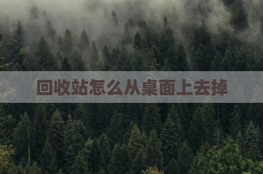 回收站怎么从桌面上去掉