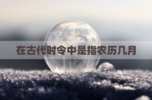 在古代时令中是指农历几月