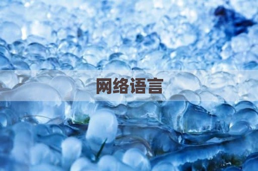 网络语言