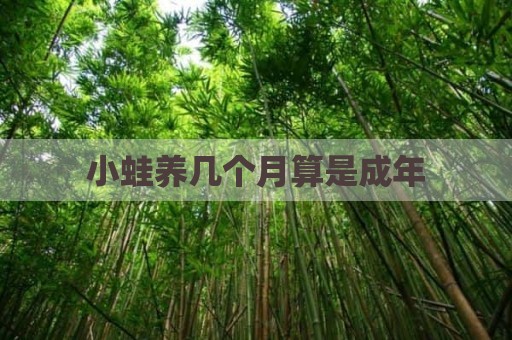 小蛙养几个月算是成年