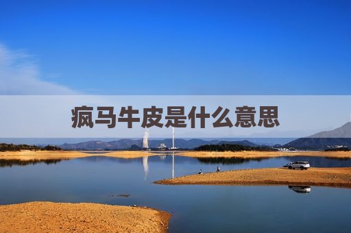 疯马牛皮是什么意思