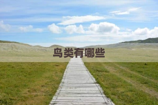 鸟类有哪些