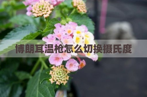 博朗耳温枪怎么切换摄氏度