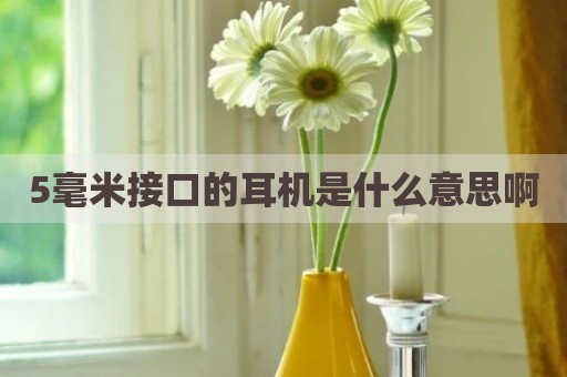 5毫米接口的耳机是什么意思啊