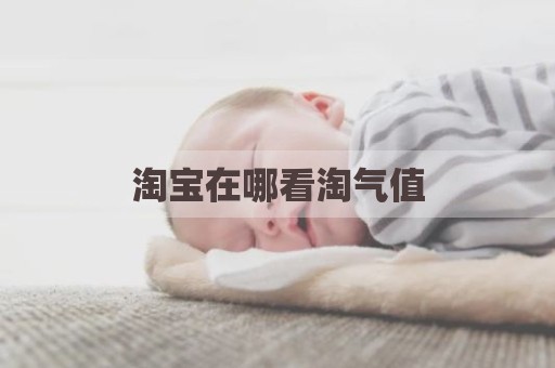 淘宝在哪看淘气值