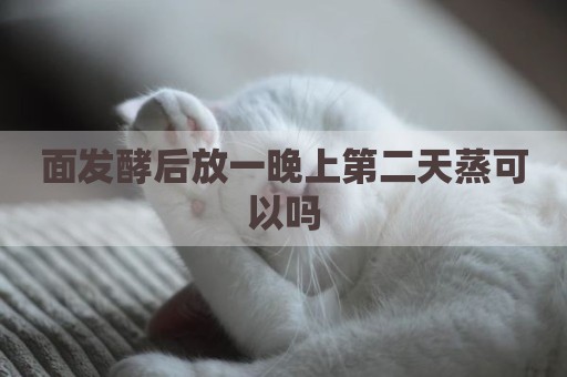 面发酵后放一晚上第二天蒸可以吗