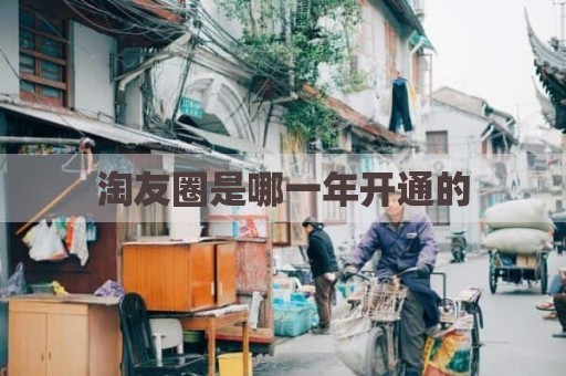 淘友圈是哪一年开通的