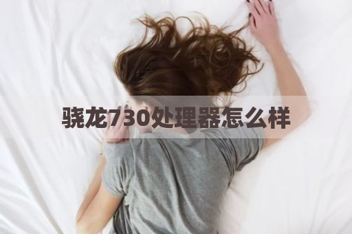 骁龙730处理器怎么样