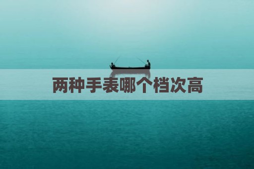 两种手表哪个档次高
