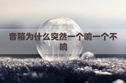 音箱为什么突然一个响一个不响