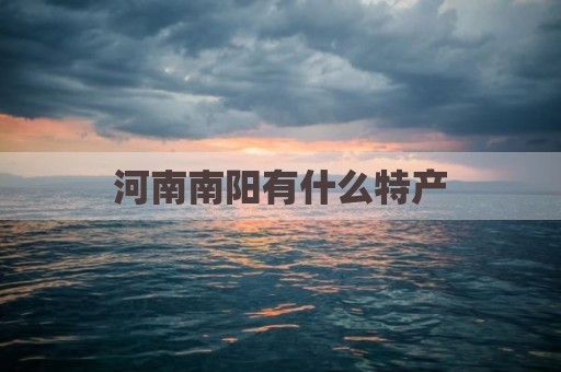 河南南阳有什么特产