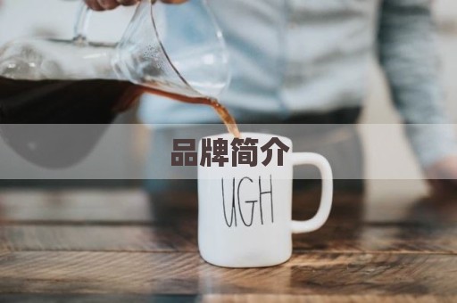 品牌简介