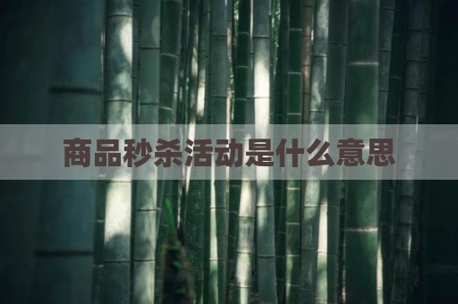 商品秒杀活动是什么意思