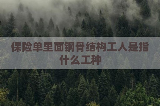 保险单里面钢骨结构工人是指什么工种