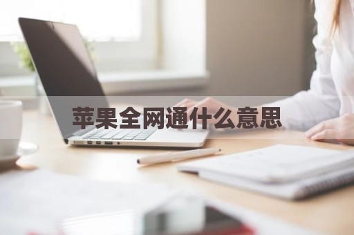 苹果全网通什么意思