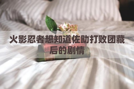 火影忍者想知道佐助打败团藏后的剧情
