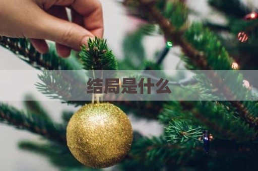 结局是什么