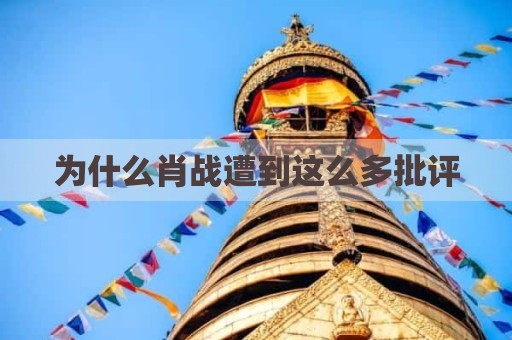 为什么肖战遭到这么多批评