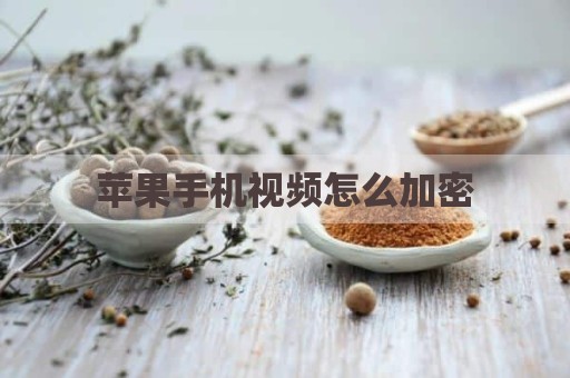 苹果手机视频怎么加密