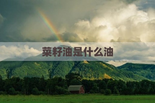 菜籽油是什么油