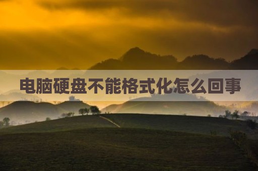 电脑硬盘不能格式化怎么回事
