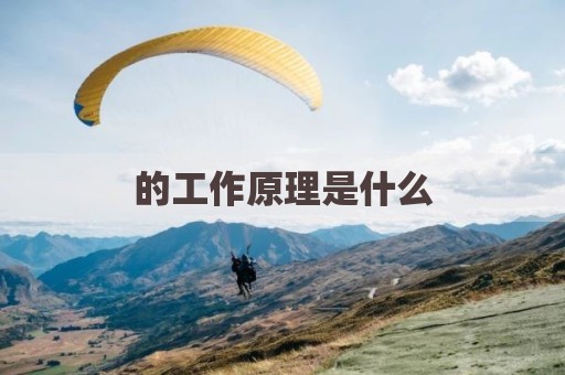 的工作原理是什么