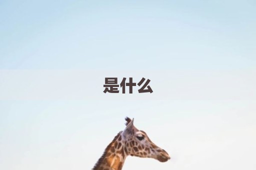 是什么