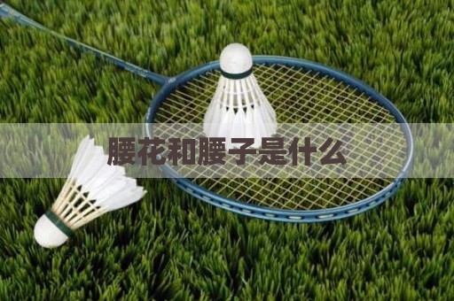 腰花和腰子是什么