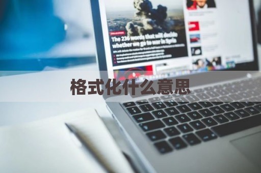 格式化什么意思