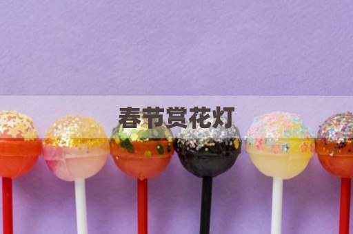 春节赏花灯