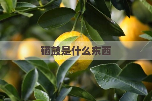 硒鼓是什么东西