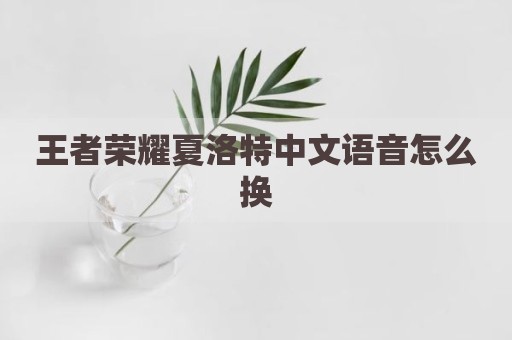 王者荣耀夏洛特中文语音怎么换