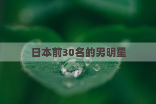 日本前30名的男明星