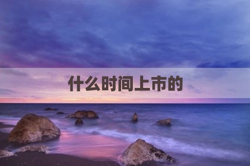 什么时间上市的