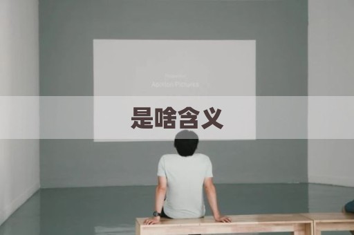 是啥含义